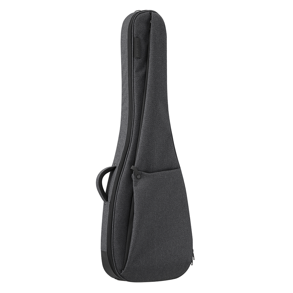 BRISQ Electric Bass Bag | basiner